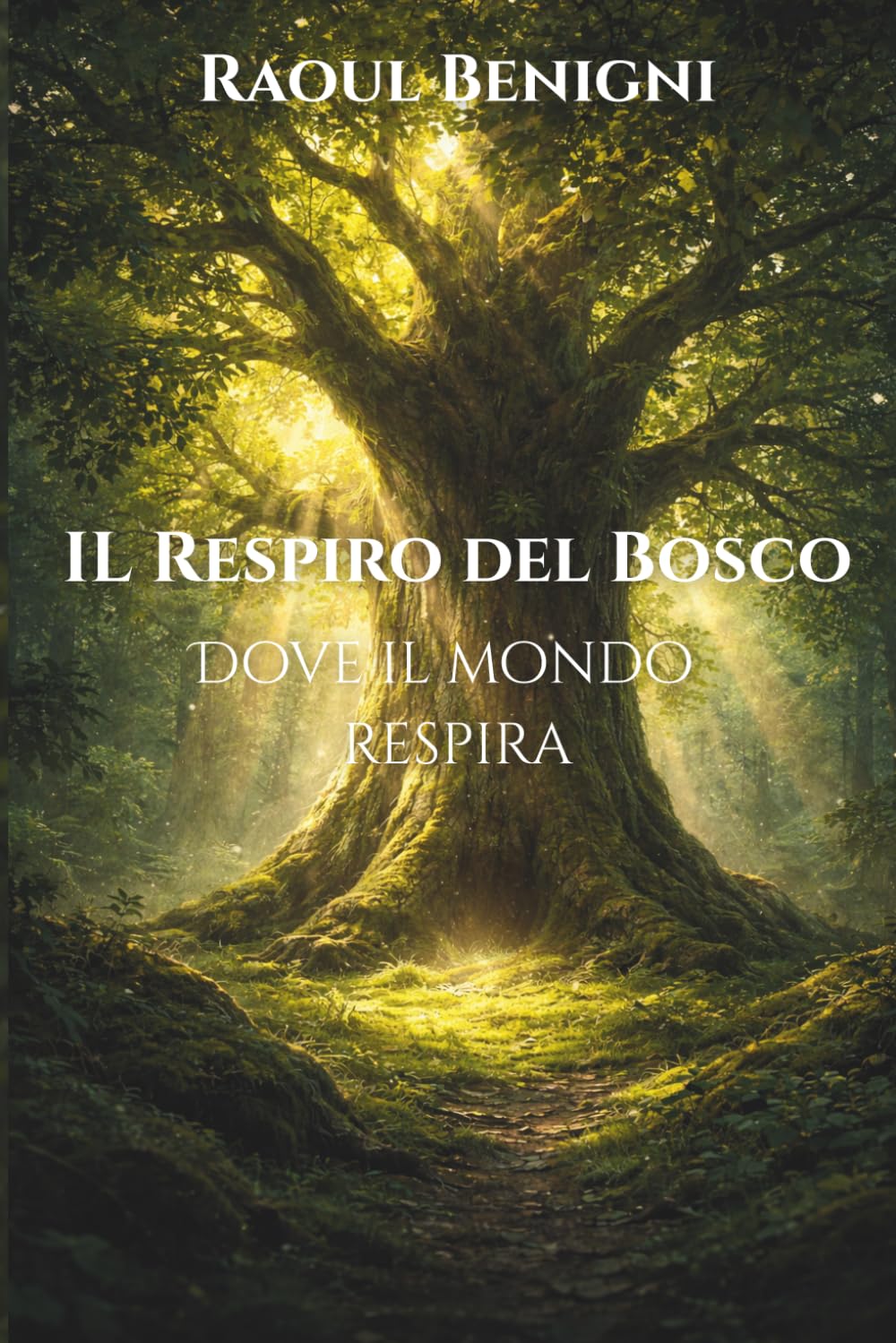 Il Respiro del Bosco: Dove il mondo respira