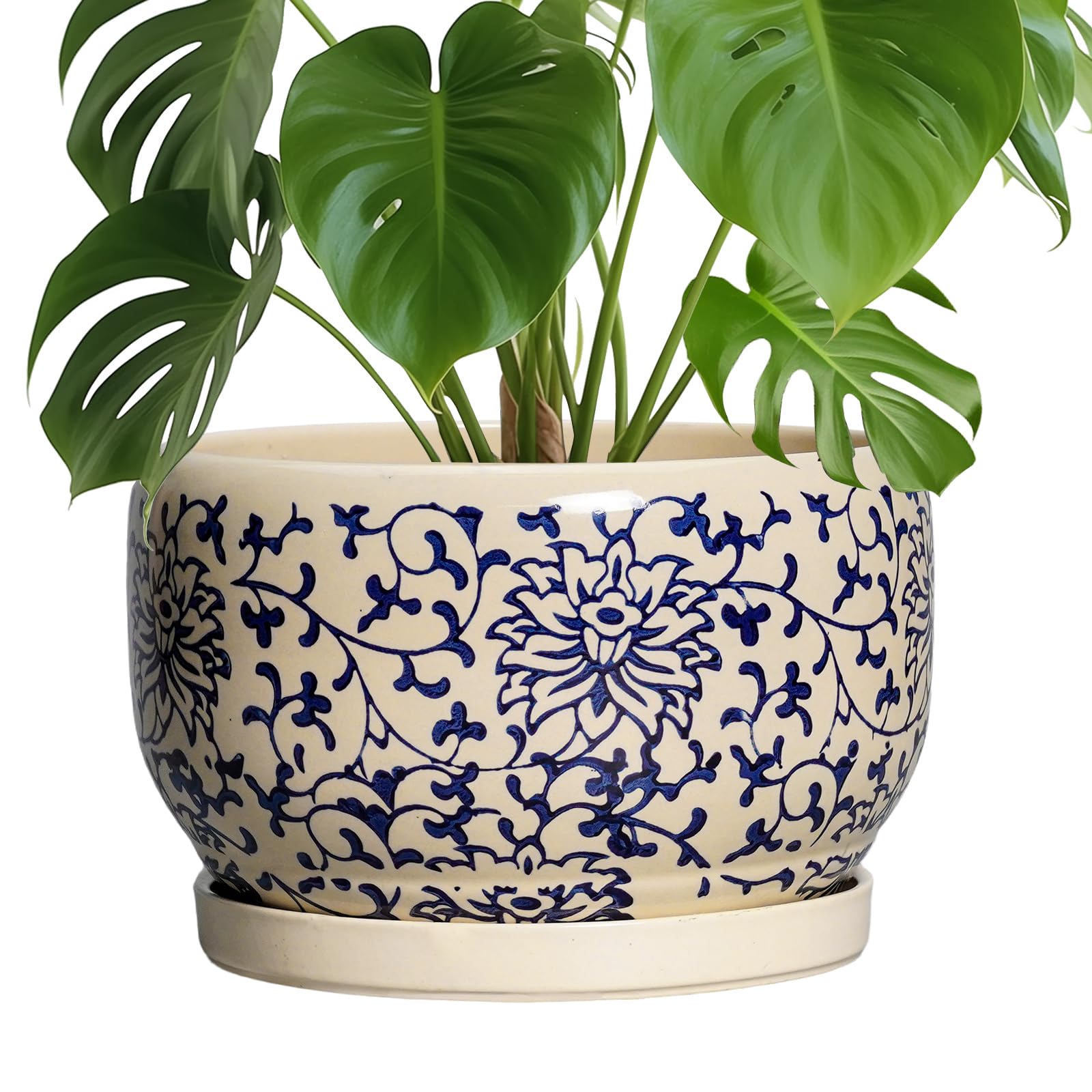 SQOWL 10 Inch Plant Pot Indoor