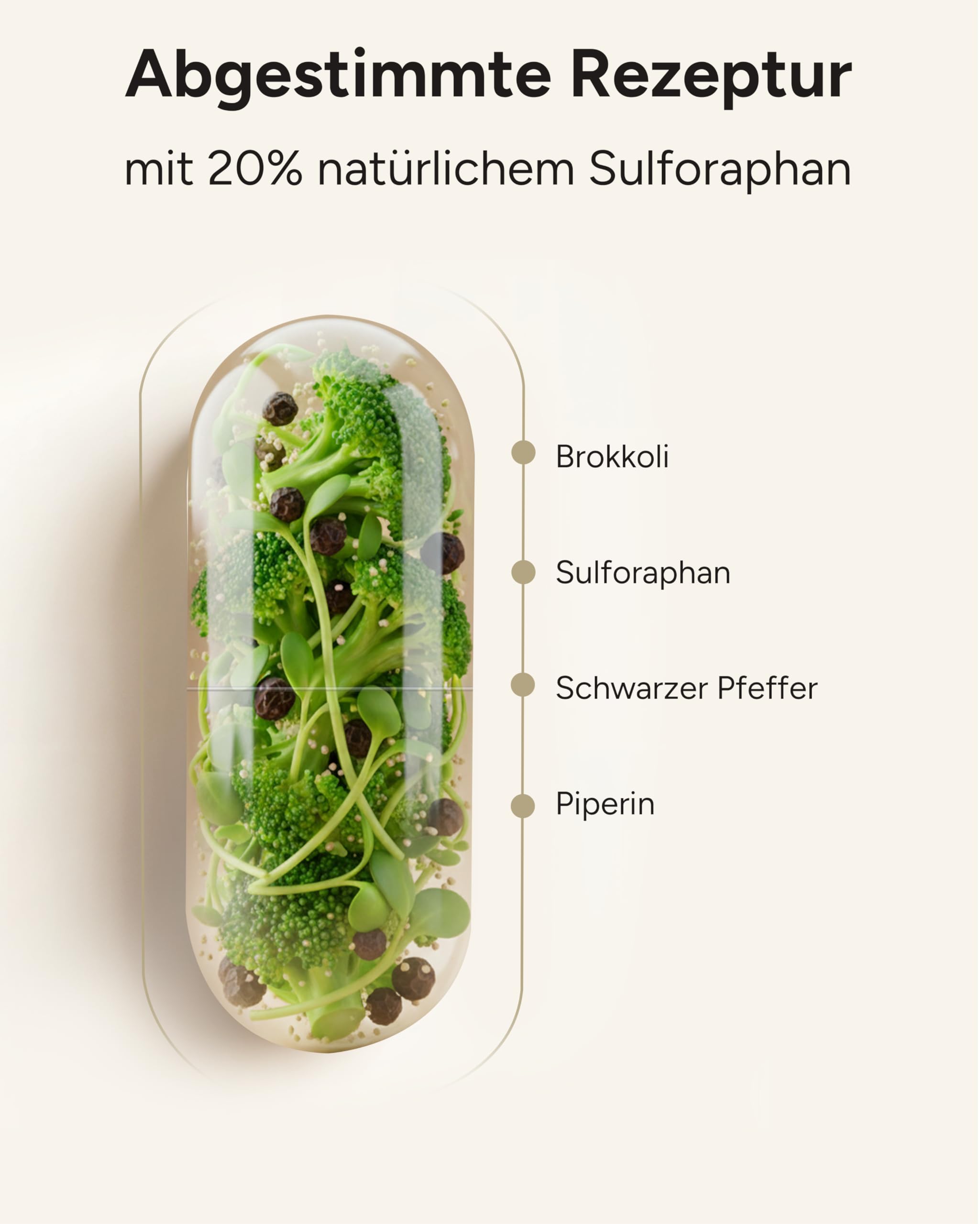 90mg Sulforaphan! 360 Sulforaphan Kapseln hochdosiert aus Brokkoli-Extrakt - Brokkoli Kapseln hochdosiert aus Brokkolisprossen - 6 Monatsvorrat