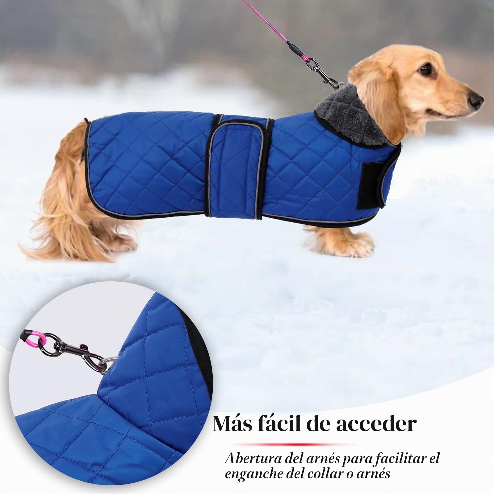 Geyecete Abrigo térmico de Invierno para Perro Salchicha,con Forro Polar cálido,Impermeable Ropa al Aire Libre con Bandas Ajustables e Agujero del arnés,para medianos/pequeña Perros - Azul-S