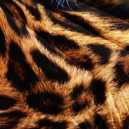 Miniatura 6 de BailiPromise Juego de edredón de leopardo con estampado de grano de leopardo 3D con 1 edredón y 2 fundas de almohada para dormitorio de niños