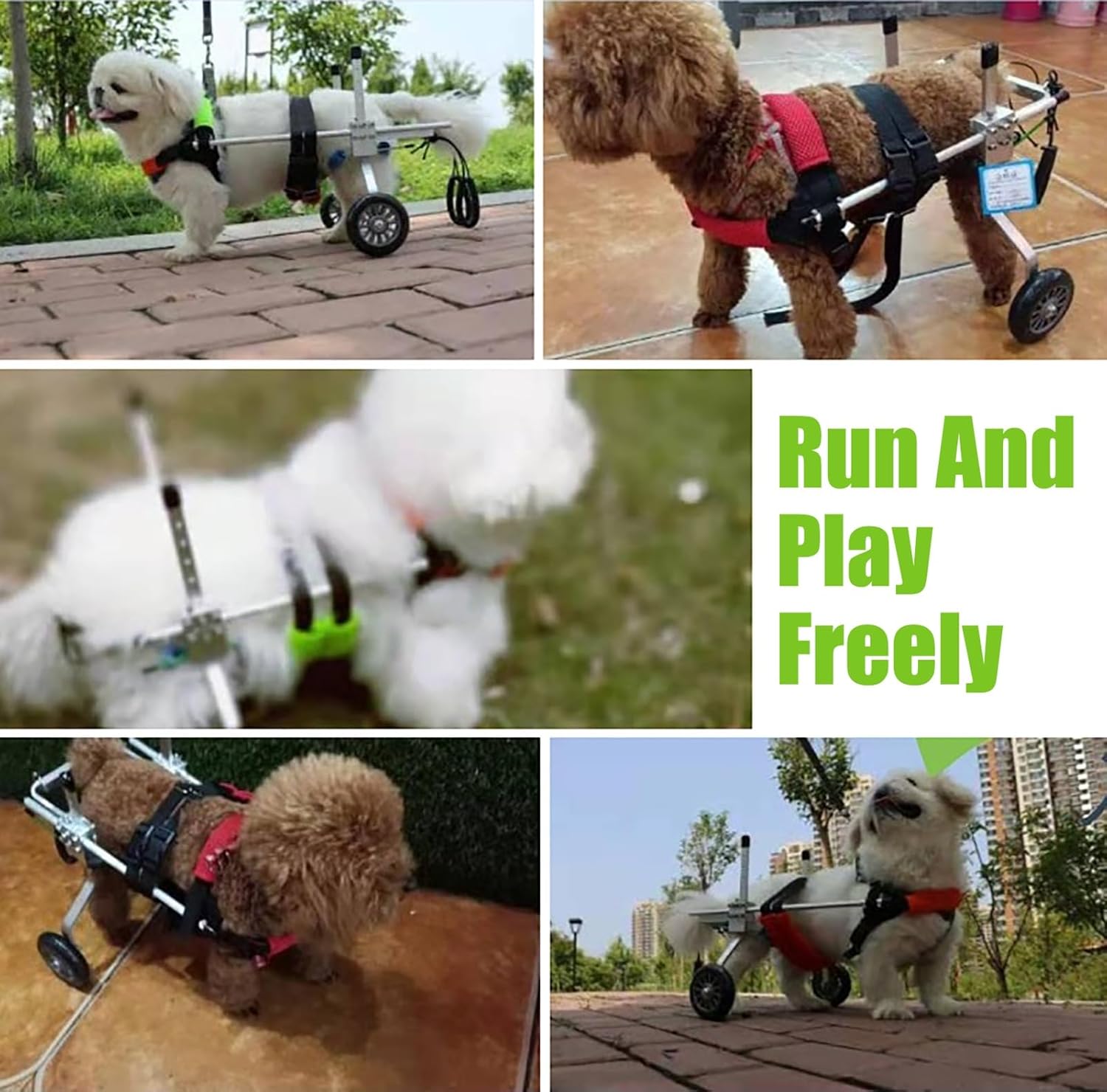 後部サポート用ペット補助歩行車椅子、犬のリハビリトレーニングカート、麻痺/障害/怪我の後肢を持つ犬用スクーター (サイズ : サイズ