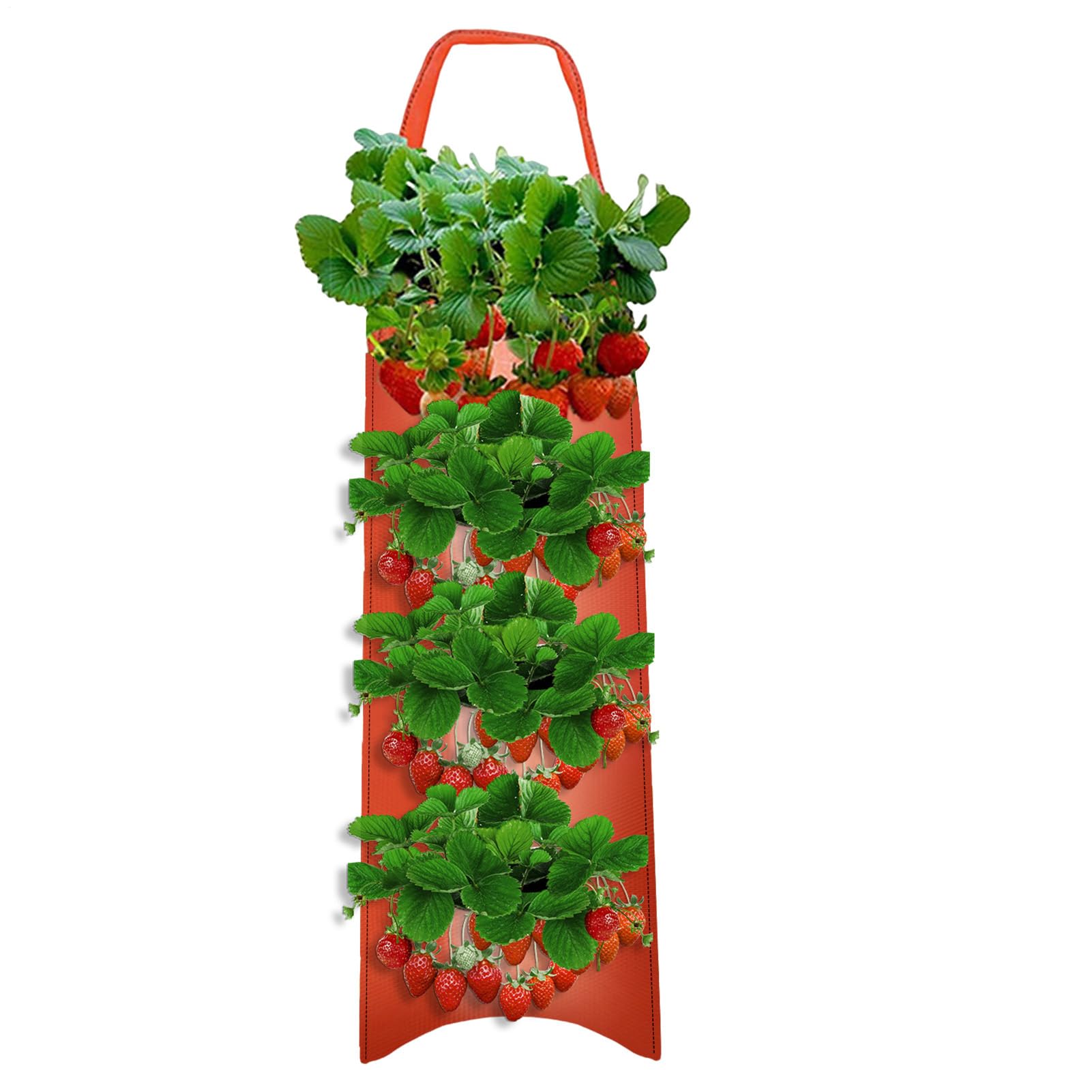 Hanging Strawberry Planter - 4/6/8/10 Holes Strawberry Grow Bags | Strawberrys Planter For Garden | Potato Grow Bags | Grows Hanger Bag For Tomato Chili Strawberrys Fruit