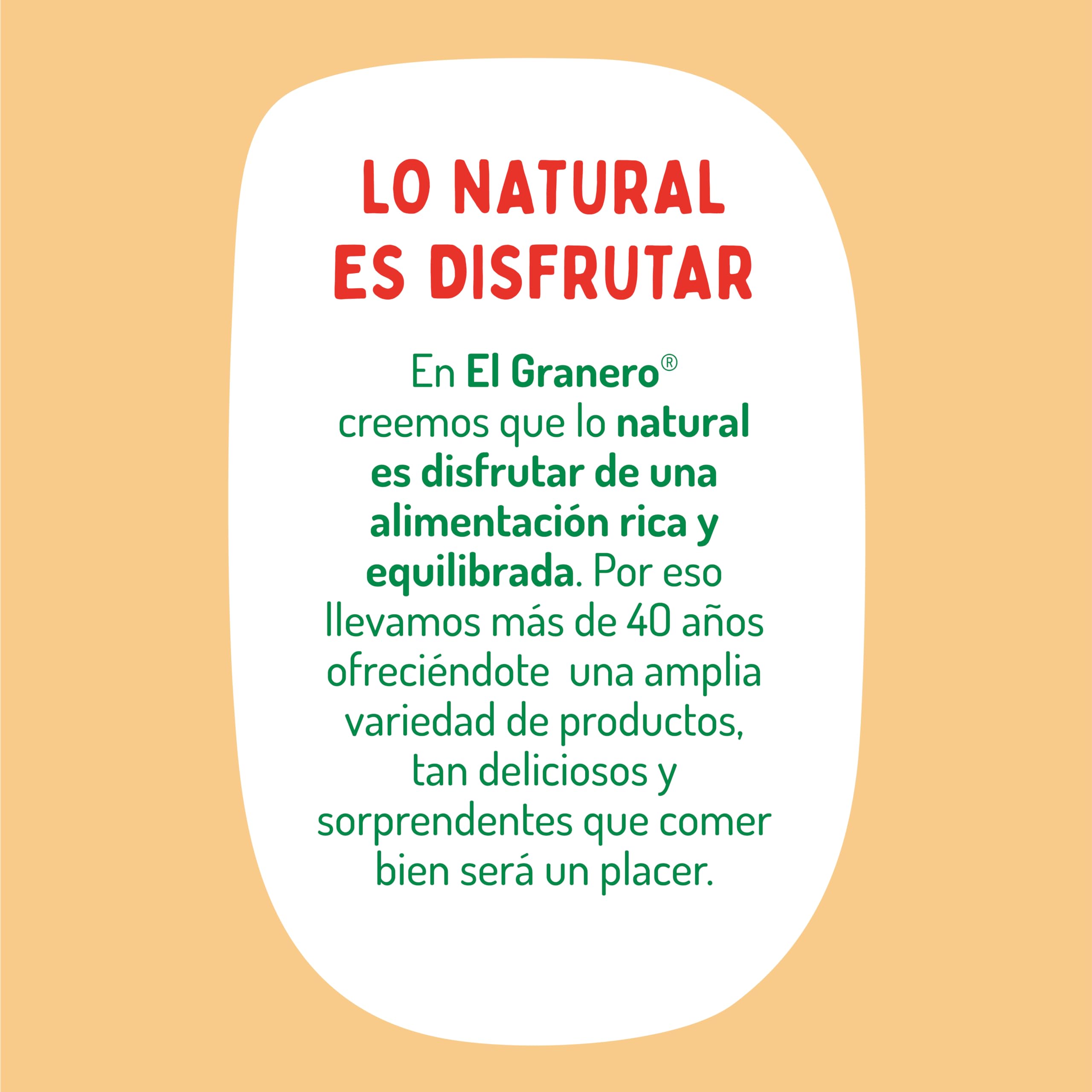 El Granero Integral - Láminas para Lasaña Sin Gluten BIO - 250 g - Alto Contenido en Proteínas, Vitaminas, Minerales y Fibra - Aptas para Veganos y Celíacos