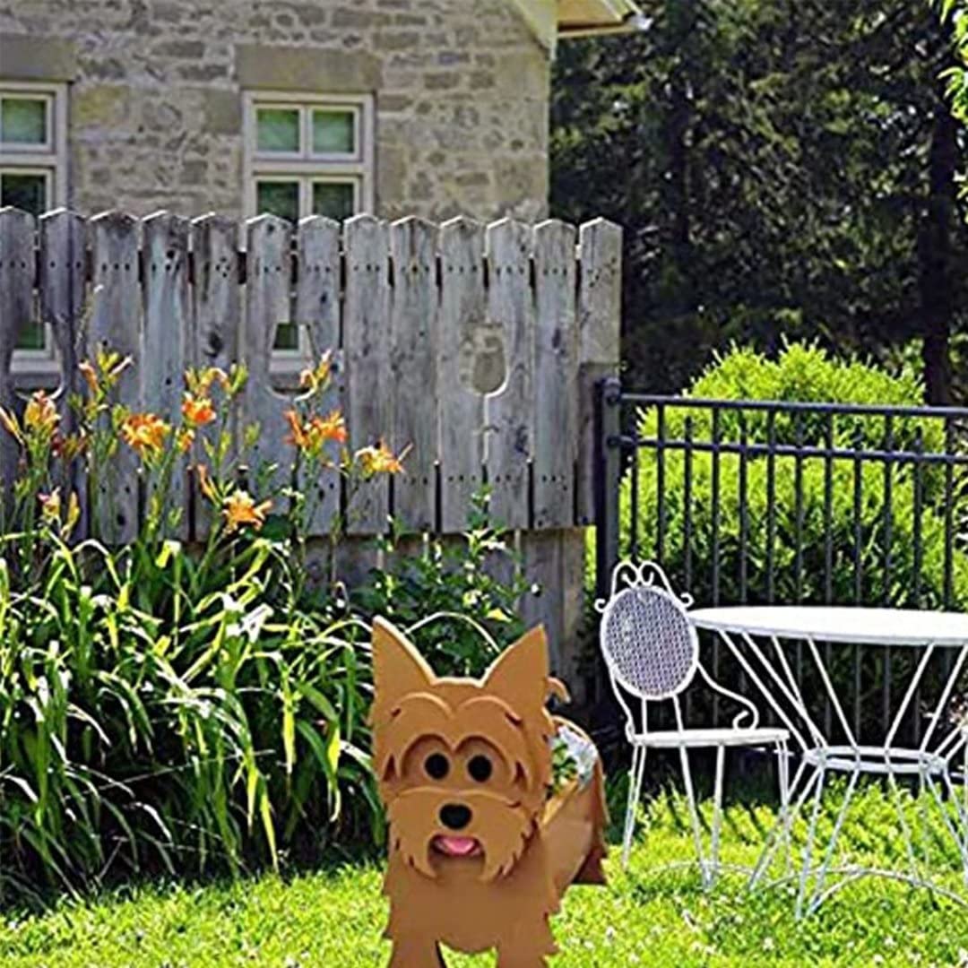 View 4