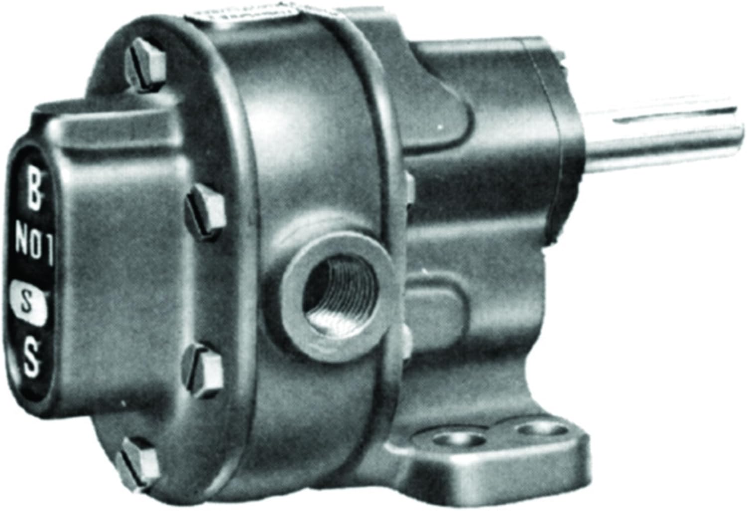 BSM Pump Model 2s Rotary Gear Pump