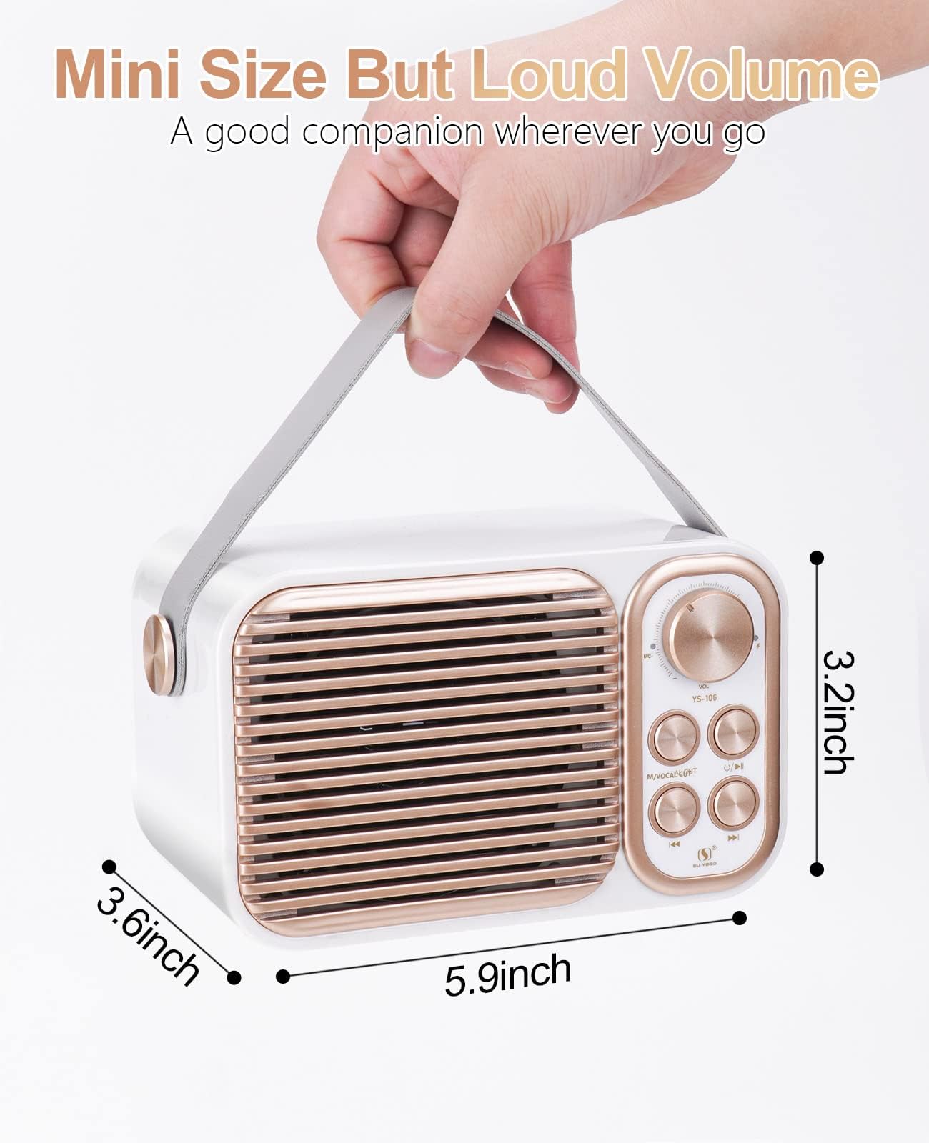 Macchina per karaoke Bluetooth con 2 microfoni wireless, sistema di altoparlanti PA portatile, TF e AUX-In, bianco
