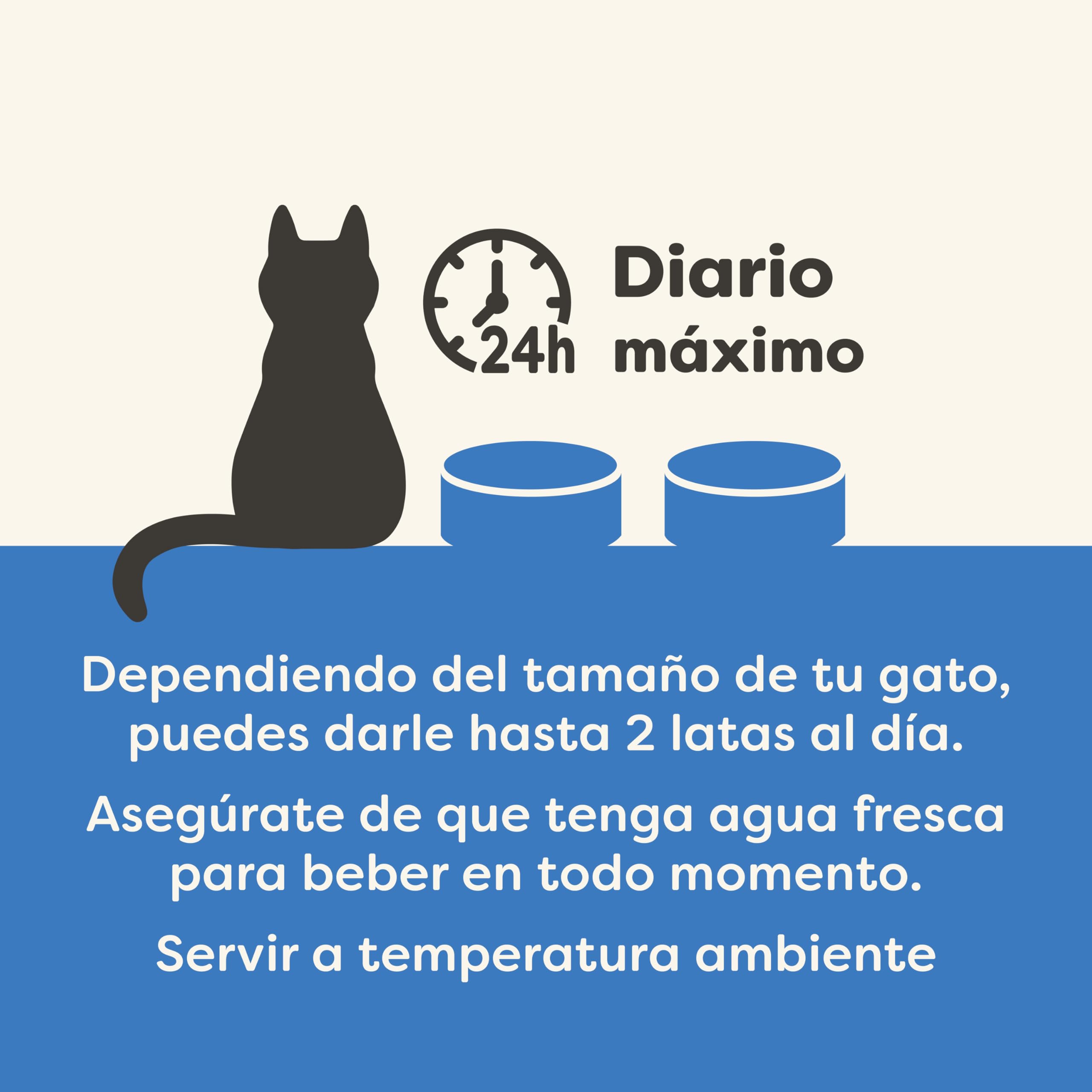 Applaws 100 % Natural Comida húmeda para Gatos Adultos, selección de Pescado en Salsa Multipack, 12 × 70 g latas