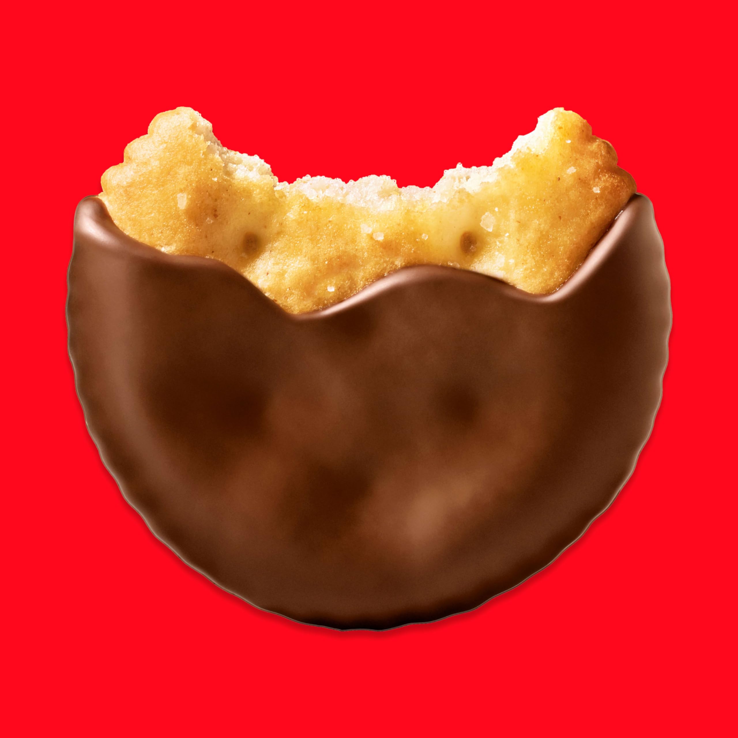 Amazon | RITZ Fudge Covered Holiday Crackers、限定版、221.1 g