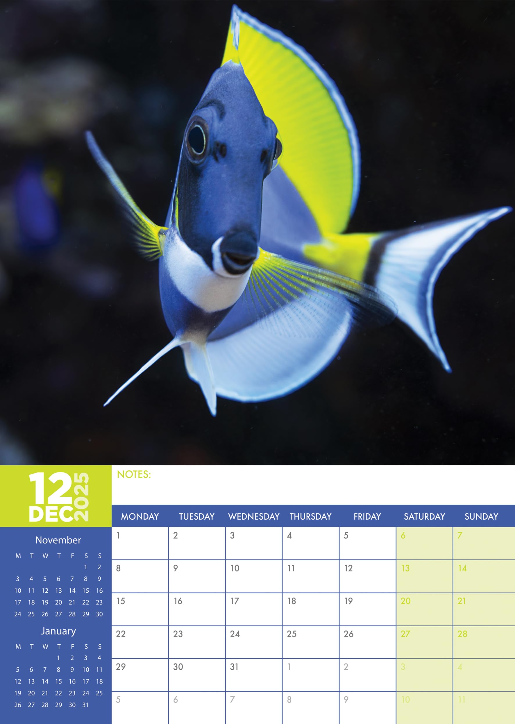Tropical Fish 2025 A3 Size Wirobound Calendar BigaMart