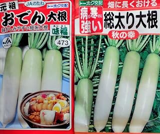 ??おでん大根??病気に強い総太り大根??タネ２種??育て方付??