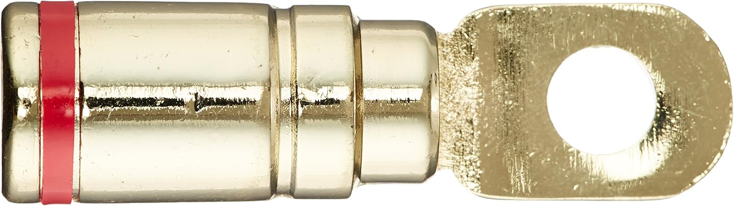 Absolute GRT102-1R Single 2 Gauge Gold Power Ring Red Band : Everything Else