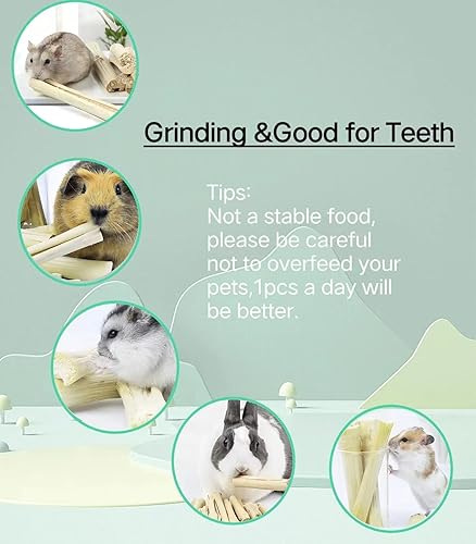 Miniatura 8 de Palitos de bambú dulce de 24.69 oz1.5 libras para conejos, juguetes masticables de conejos, golosinas molares de chinchilla para animales pequeños,