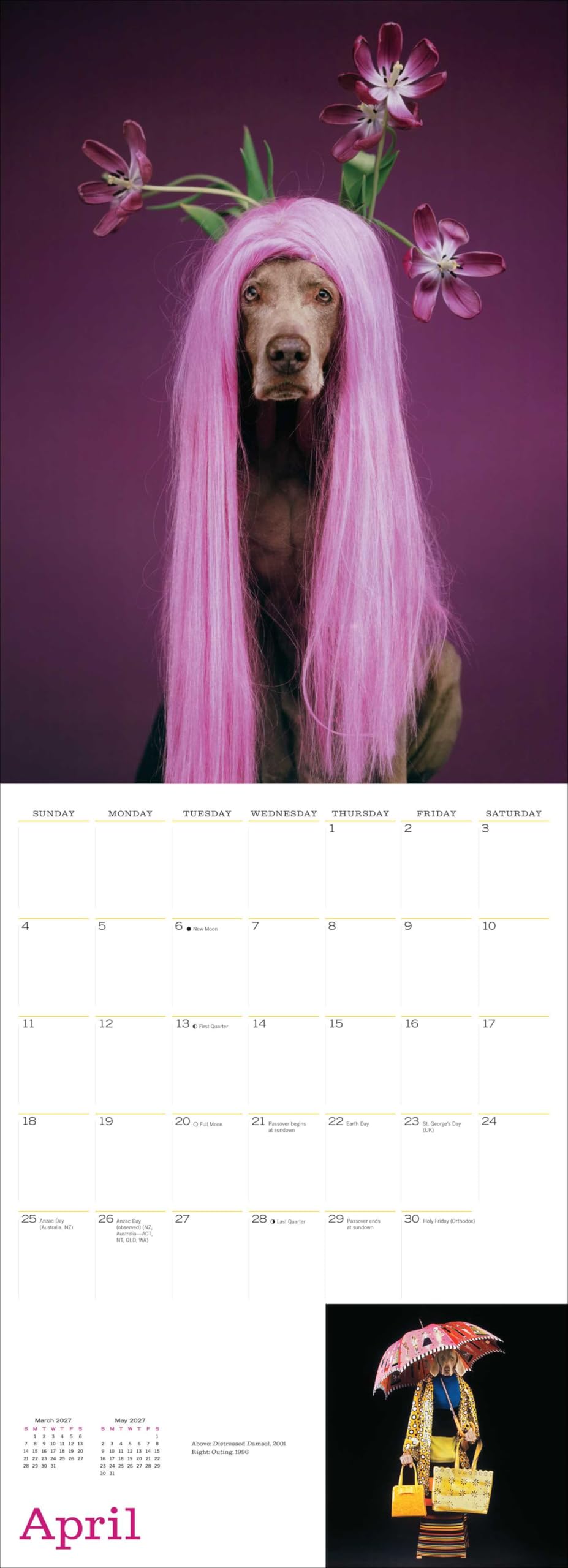 William Wegman Best of Man's Best Friend 2027 Wall Calendar