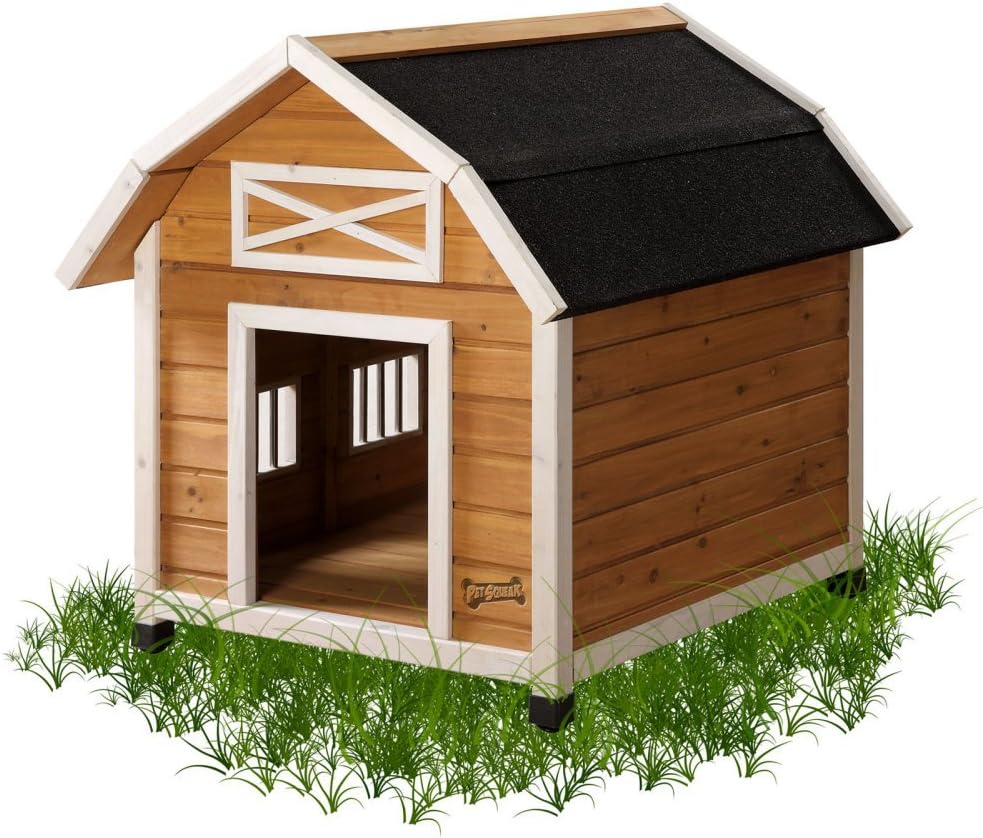 The Barn Dog House, Medium