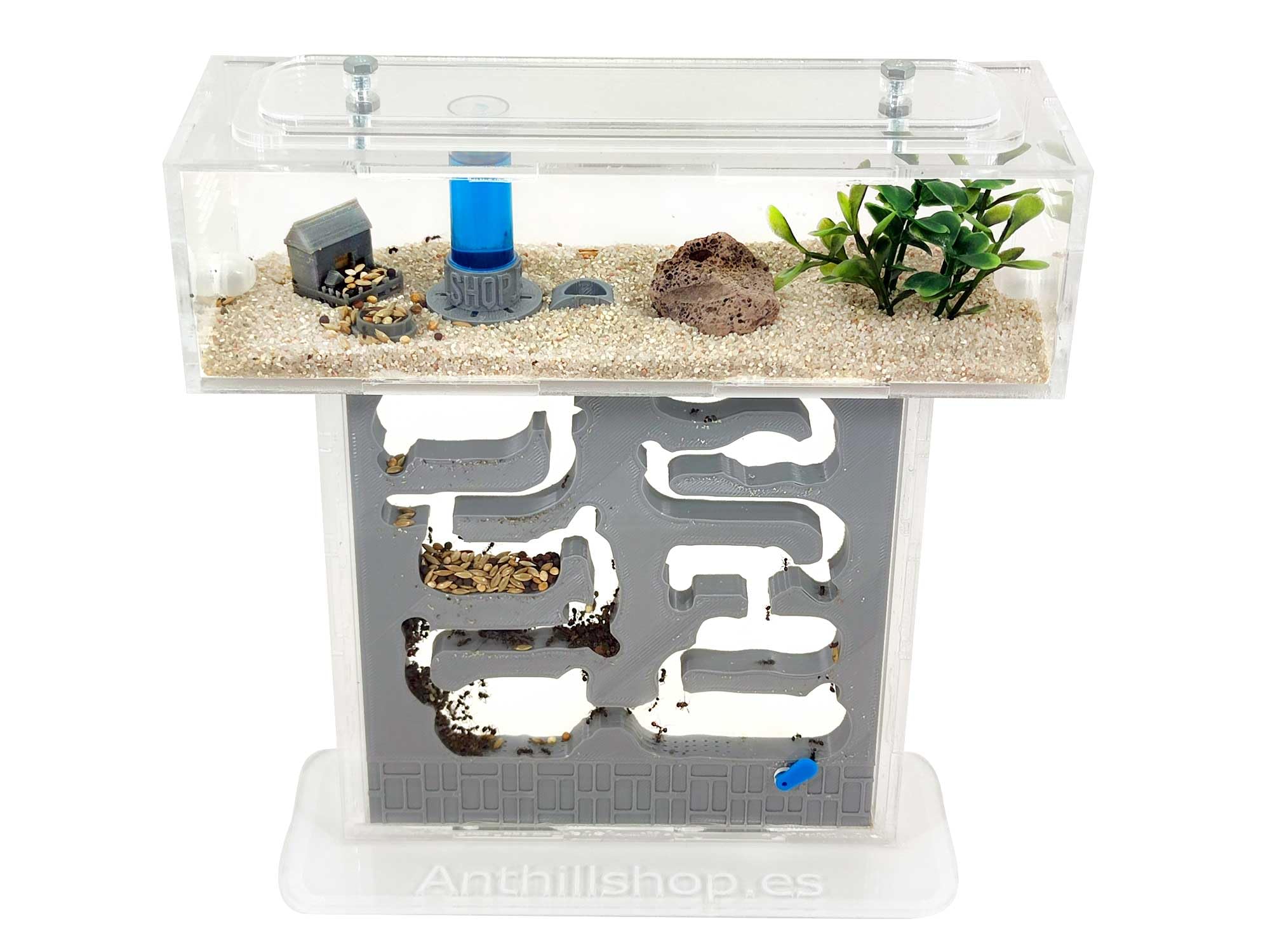 Hormiguero Kit T-Pequeño Pro - Galería 3D Gris┃con Hormigas Gratis【Granja de hromigas】- Nuevo Sistema de Humedad