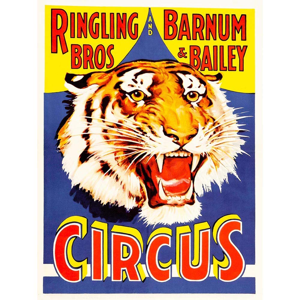 Wee Blue Coo Advert Exhibition Circus Barnum Bailey Ringling Bros Tiger USA Art Print Poster Wall Decor 12X16 Inch