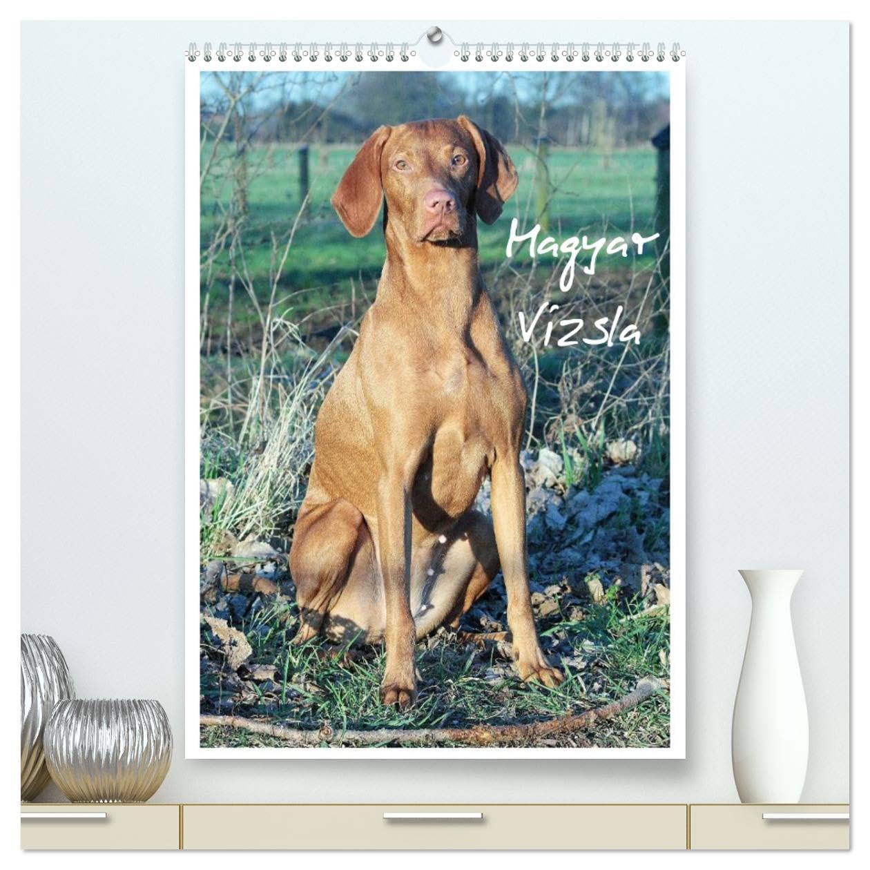 CALVENDO - Magyar Vizsla (hochwertiger Premium Wandkalender 2027 DIN A2 hoch), Kunstdruck in Hochglanz: Familienplaner mit Fotos des Magyar Vizsla