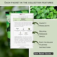 Vista 2 de Sow Right Seeds - Mint Garden Seed Collection - Includes Common Mint, Catmint, Peppermint & More - Popular Non-GMO Heirloom Varieties for Planting