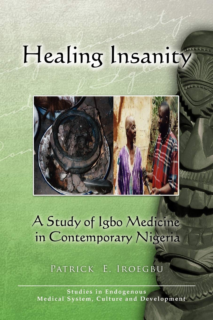 Healing Insanity: A Study of Igbo Medicine in Contemporary Nigeria