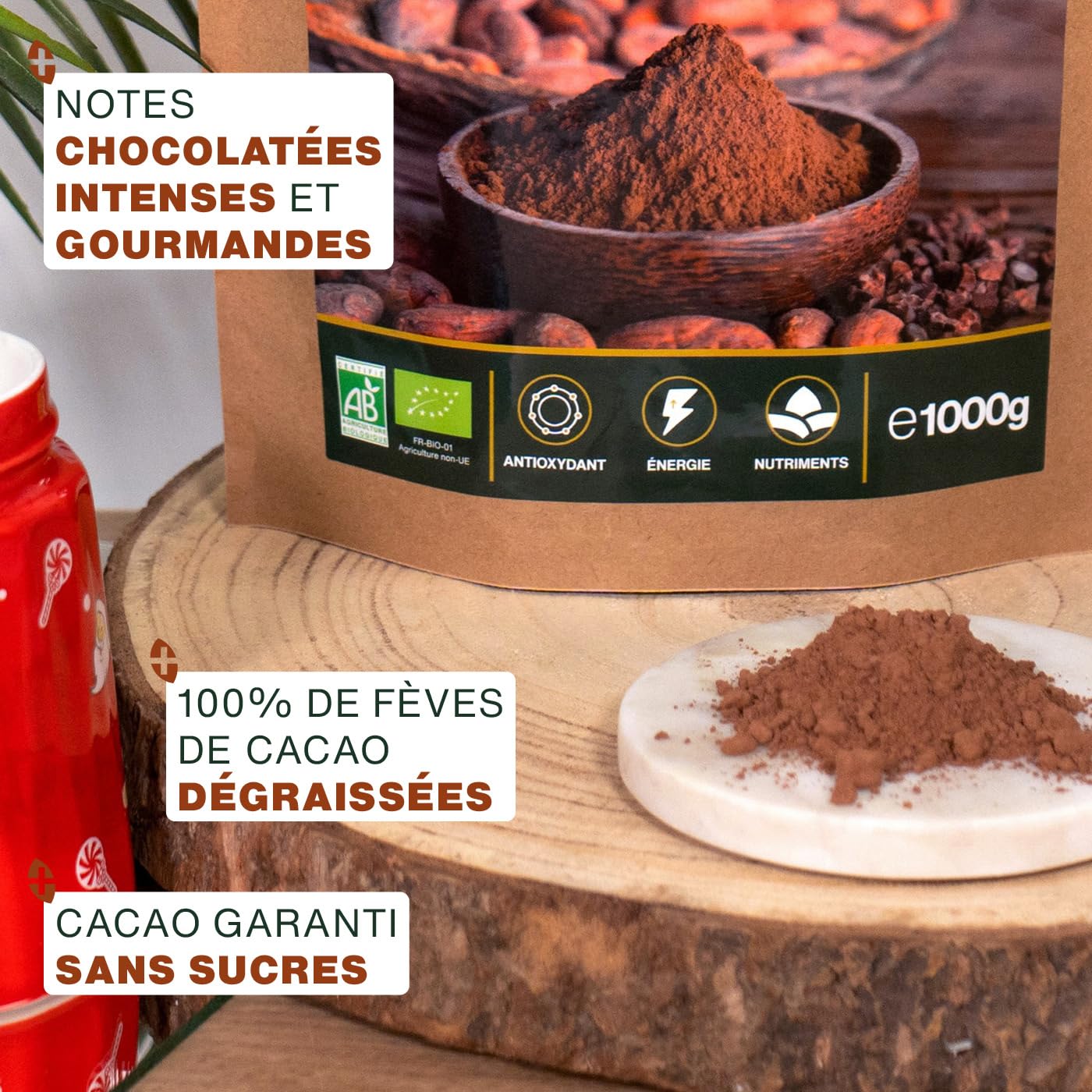Cacao Sans Sucre en Poudre Bio 1KG | 100% de Fèves de Cacao Dégraissées Bio | Goût chocolaté intense | Qualité Supérieure