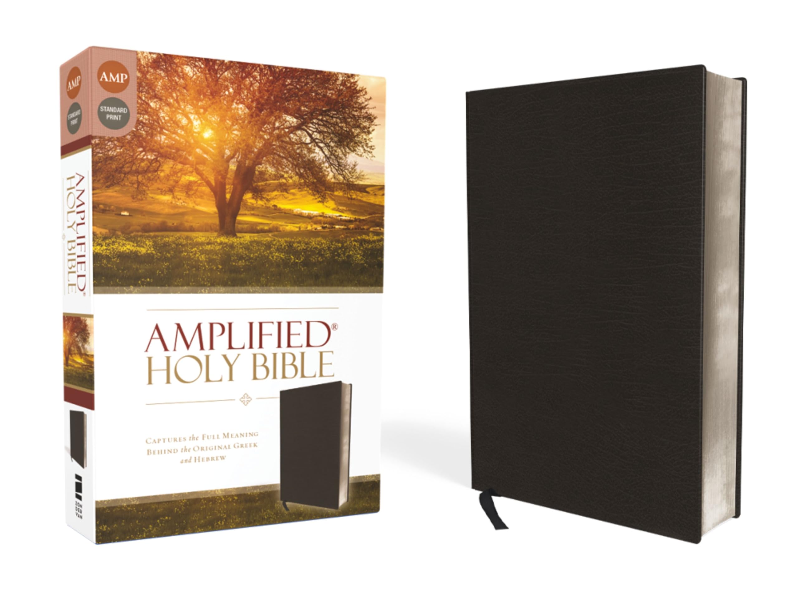 Amplified Holy Bible Bonded Leather Black LEATHER-BOUND 9780310443926