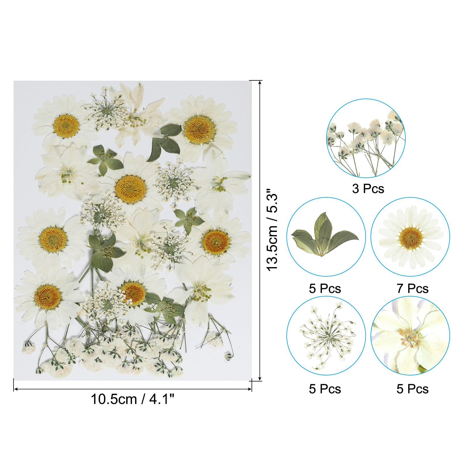 PATIKIL Dried Pressed Flowers - Image 2