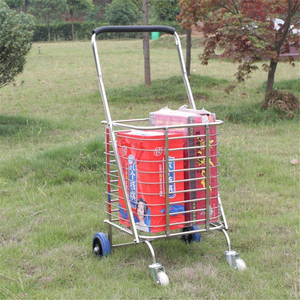 Carro con Ruedas Carro con Ruedas para Salón De Belleza De Acero Inoxidable De 2 Niveles, Carro para Equipos Médicos De Clínica Hospitalaria/Dental, Rueda De Freno Universal