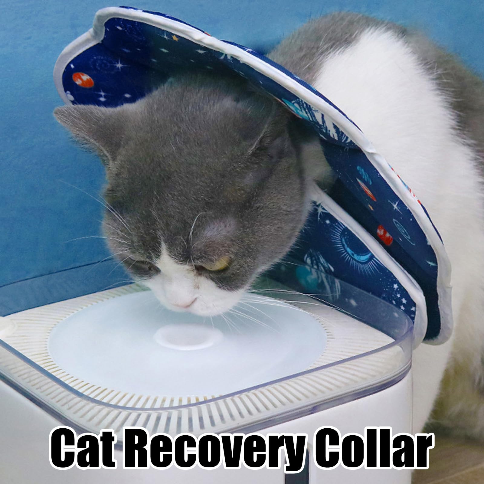 YAGO Collier En Cuir Souple Et Réglable Pour Moyen Chien, Taille M 34-40cm, Colo