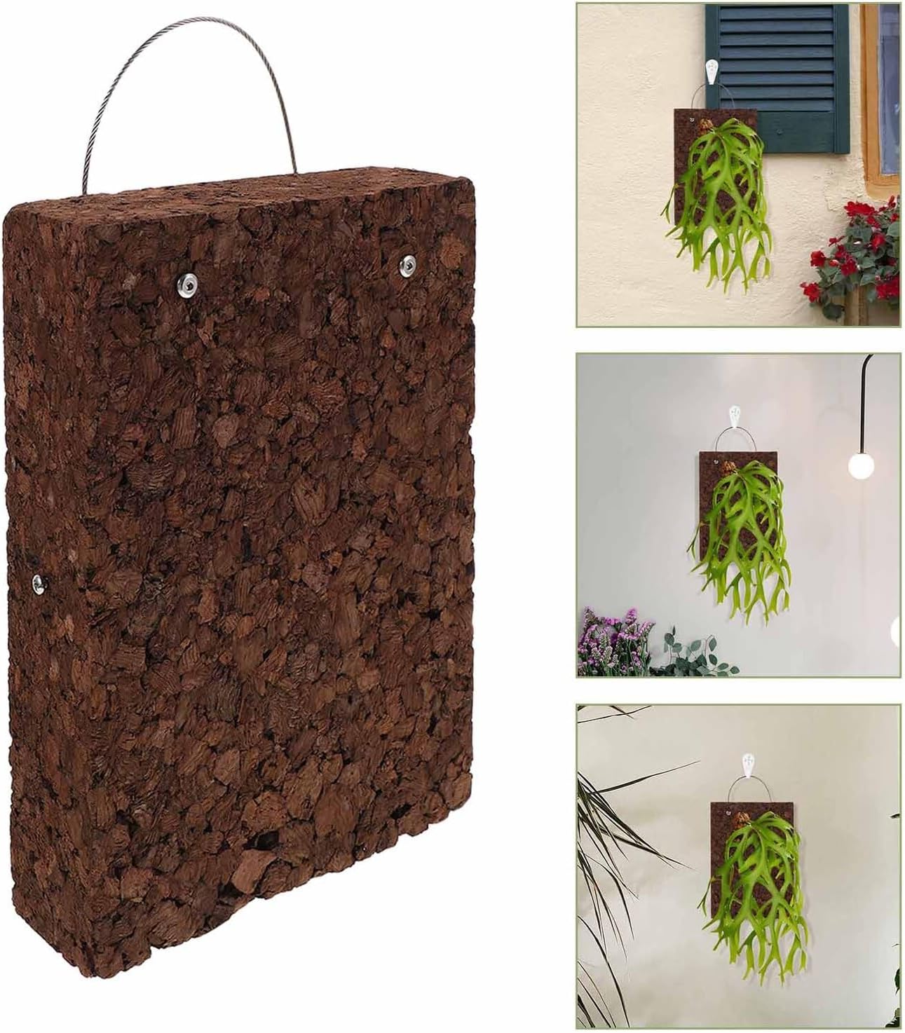 Thickened Solid Wood Fern Mounting Board for Wall Hanging Planter Cork Mat Compatible with Orchids Succulents Climbing Plants Space-Saving Greenery Display Panel for Indoor and