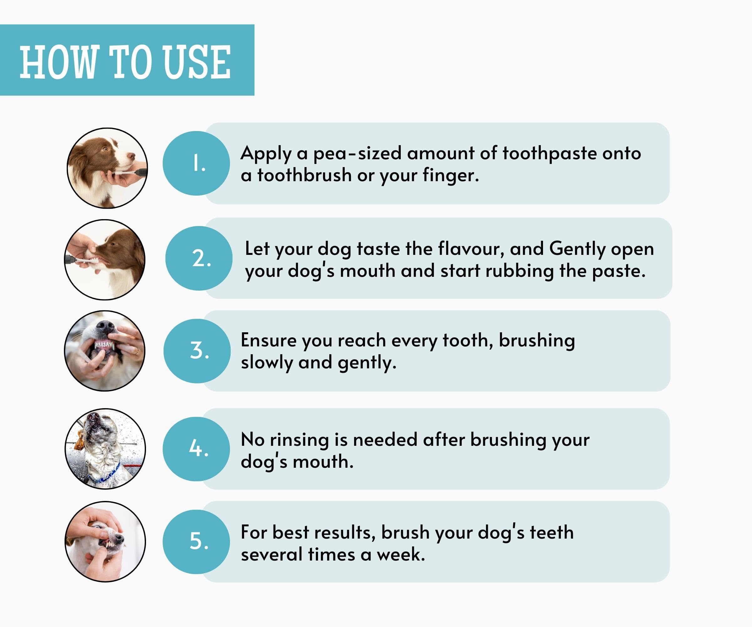 Foodie Puppies Dental Care Kit - 3pcs (Chicken Flavor Toothpaste + 1pc Long Brush and 2Pc Finger Brush) I Bio Enzyme and Natural Ingredients Enzymatic Toothpaste Suitable for All Dogs and Puppies 2