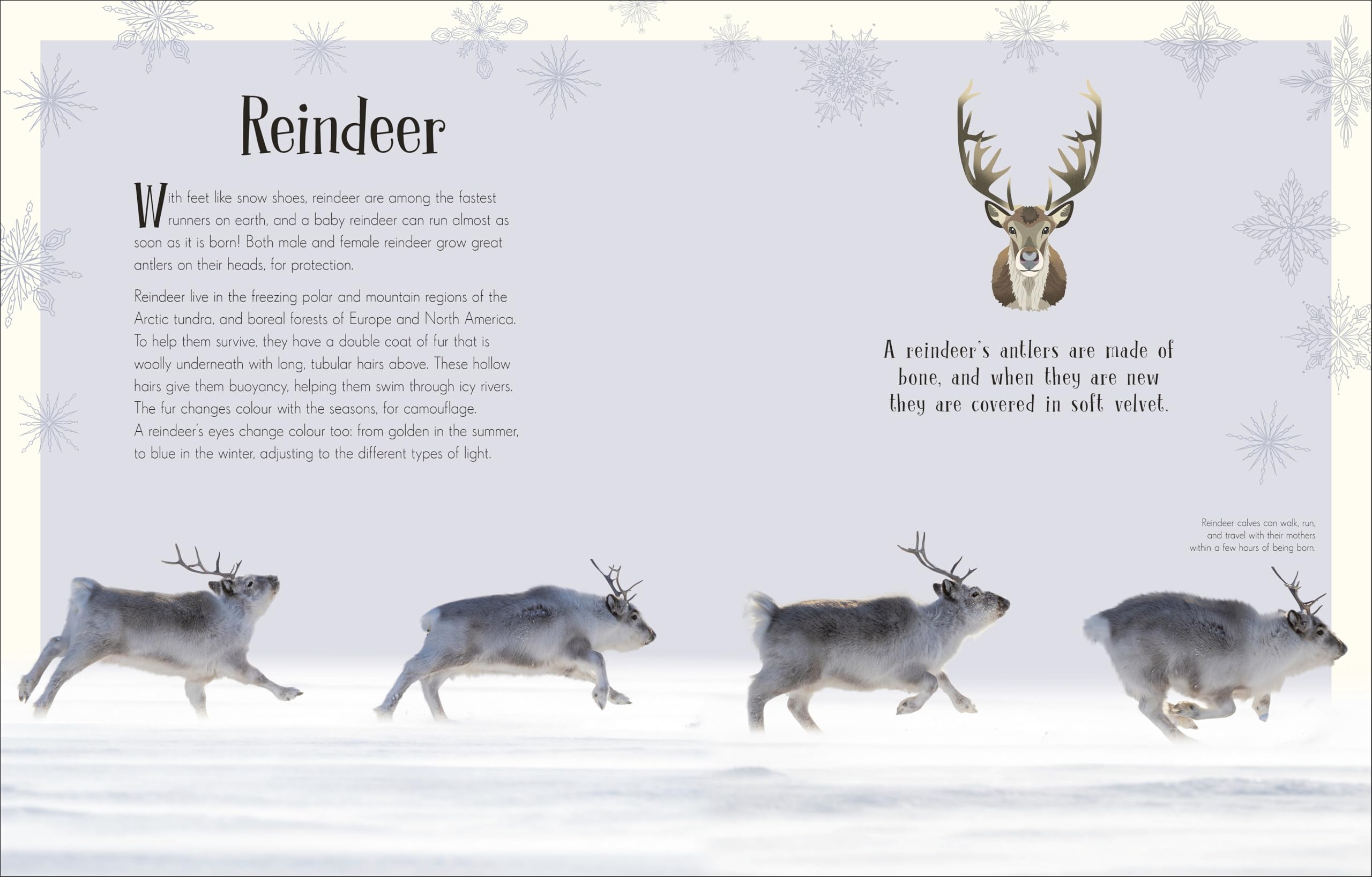 An Anthology of Christmas: Discover the Magical Stories of the Festive Season (DK Children's Anthologies)