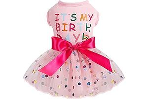 Dog Birthday Outfit: Polka Dot Mesh Dress for Small to Medium Dogs