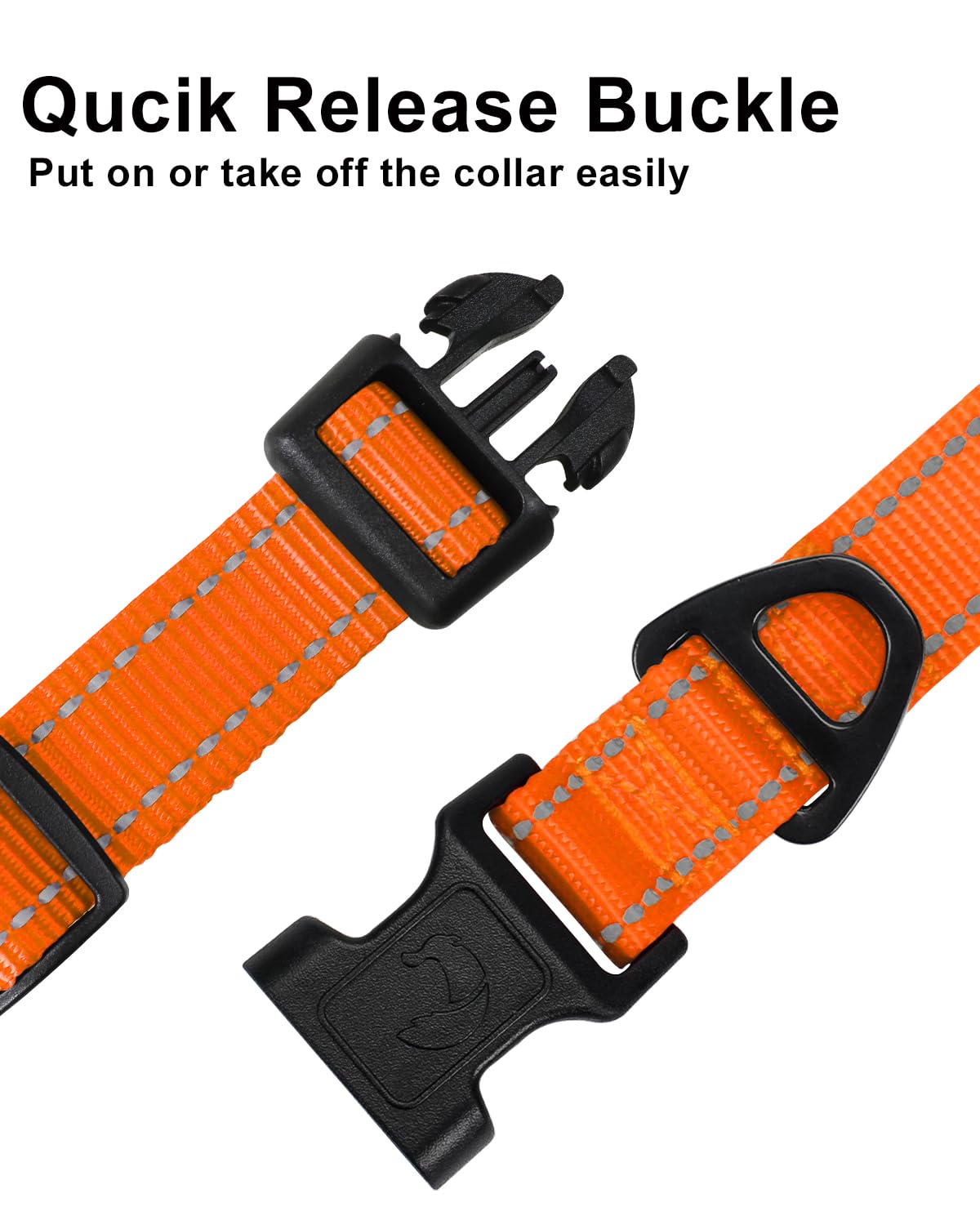 https://m.media-amazon.com/images/I/71Q+O-W7vML.jpg
