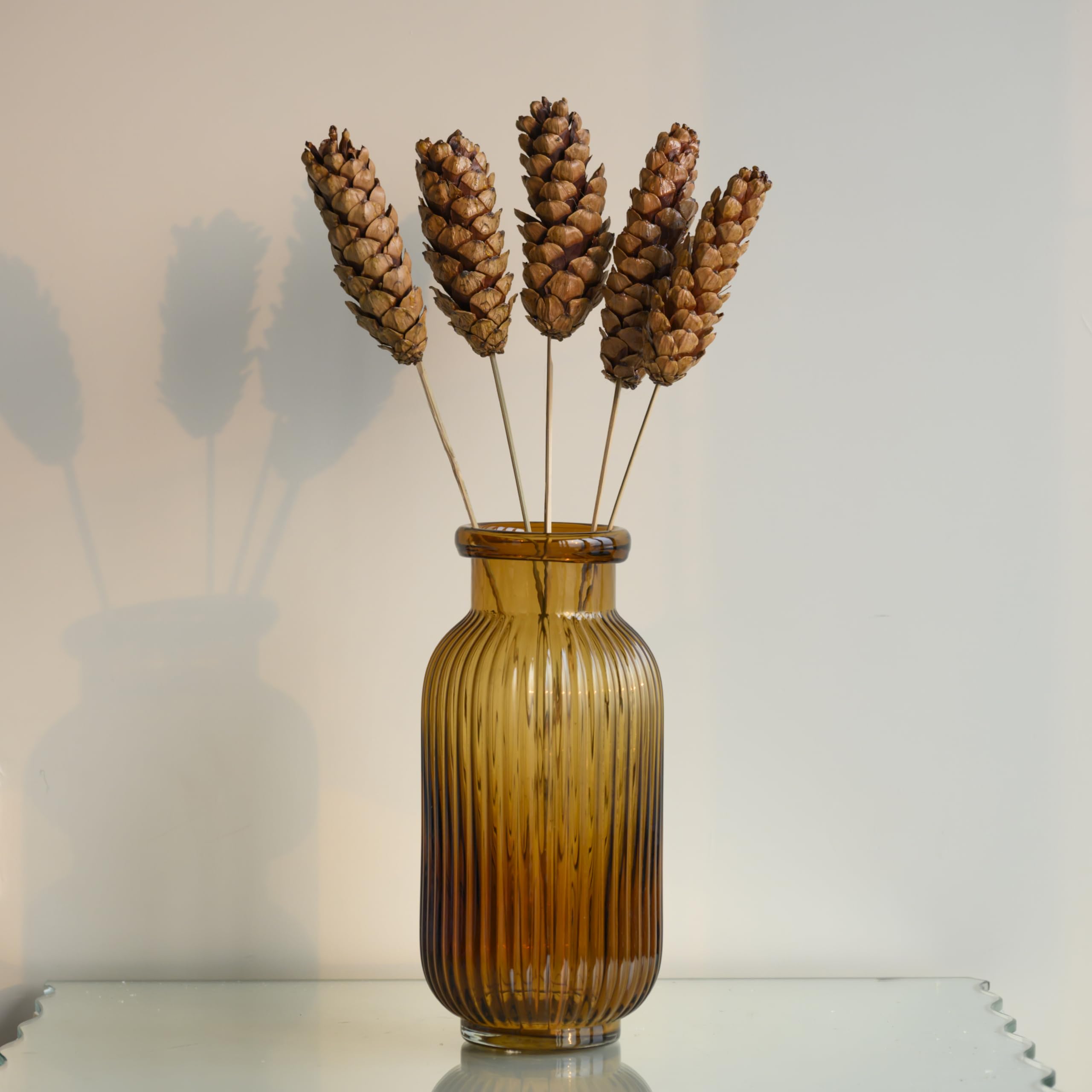 Strobus Pine Sticks 5 Sticks | Eco-Friendly Flowers for Home, Office, Bedroom, Table Decoration-image-23