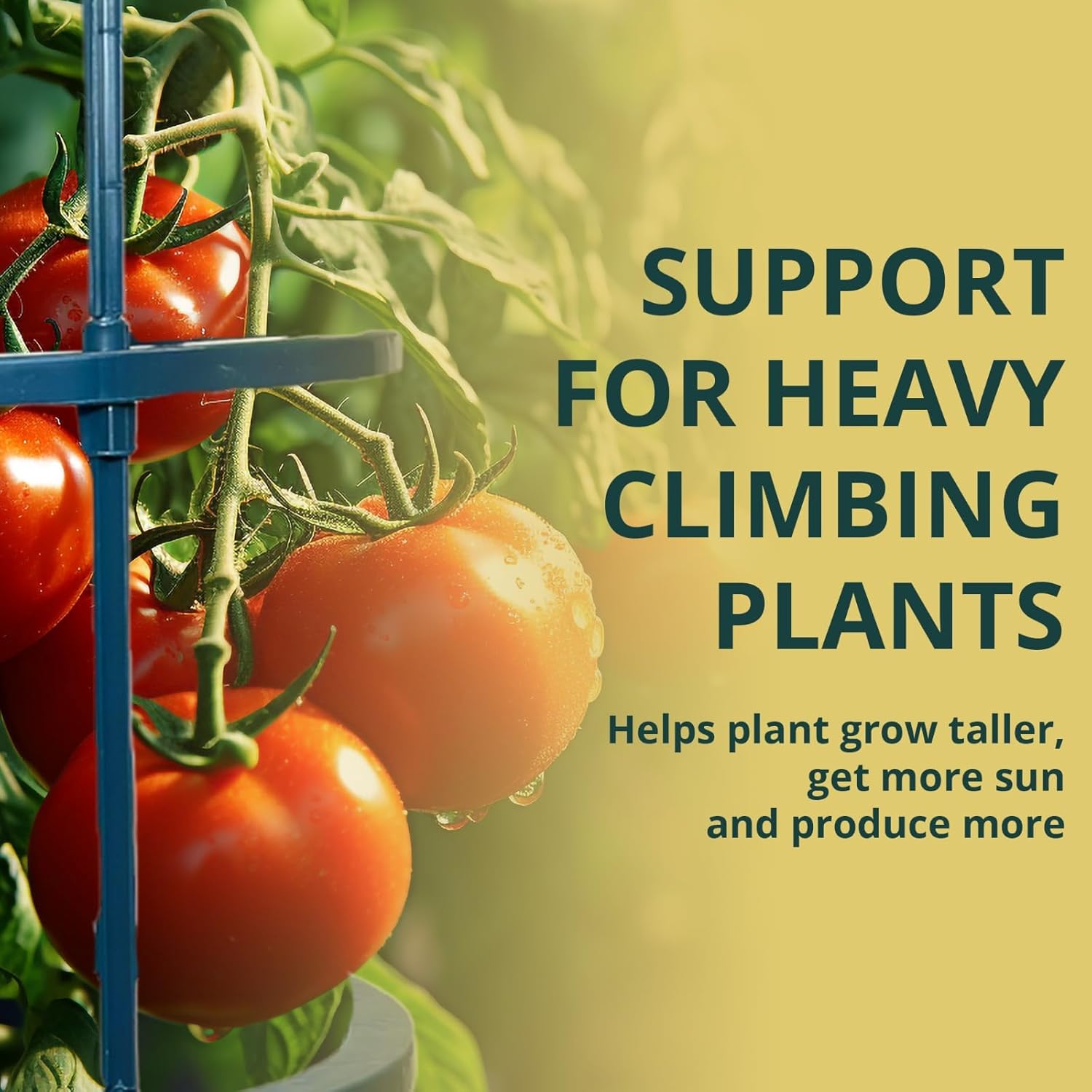 Plant Support Tomato Cages for Garden 5 Pack - Tomato Stakes Plant Stakes for Climbing Plants Garden Cages for Vegetables