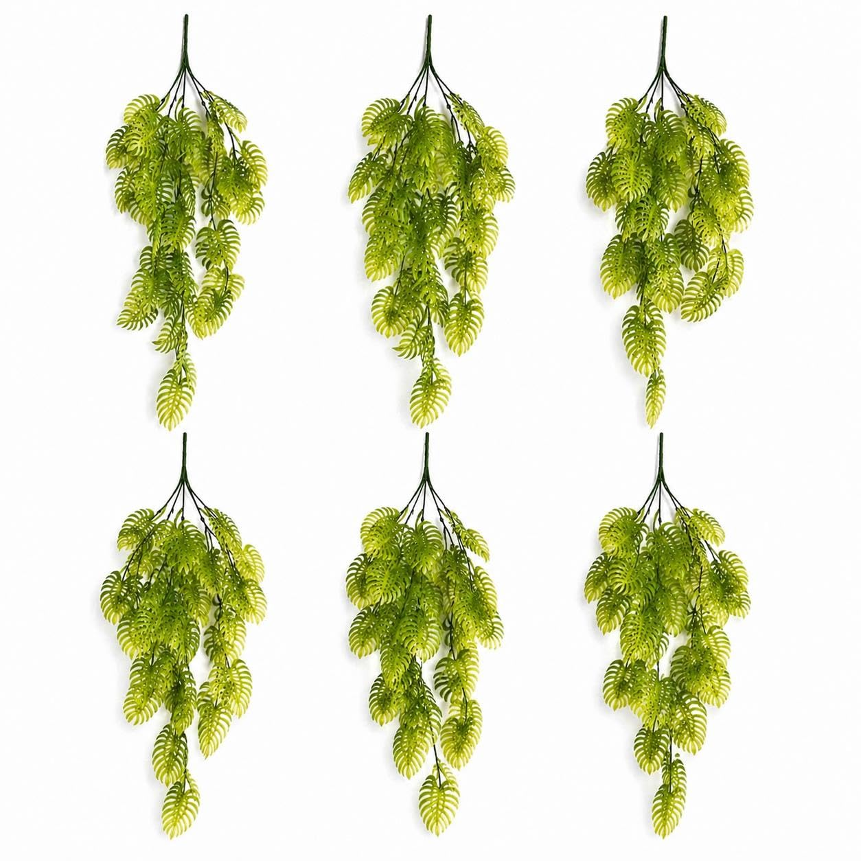 B&Q -  Pack Of 6 X 80Cm Trailing Tropical Monstera PlantLight Green