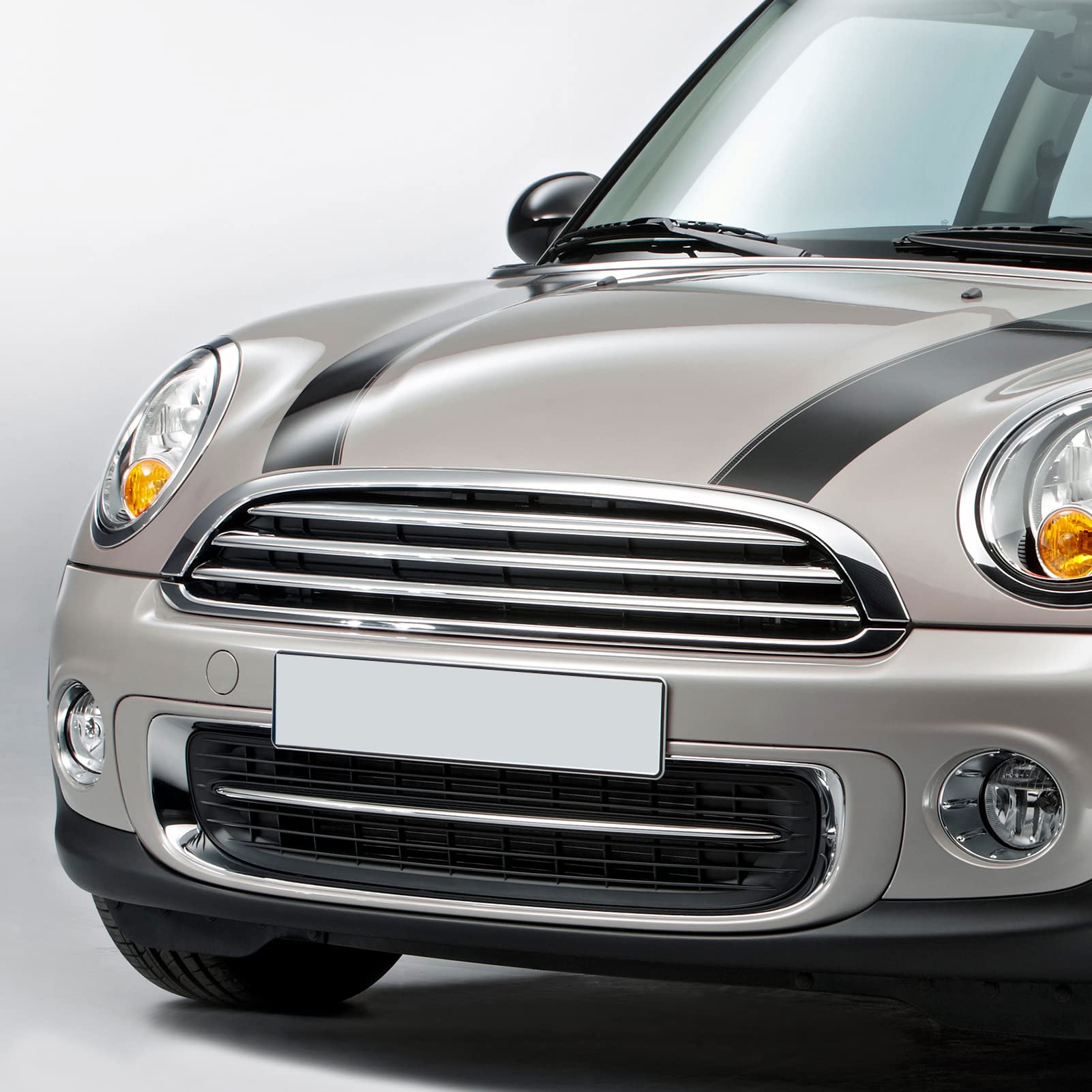 Upper Front Grille, Heavy Duty Collision Protection, 51117317264  