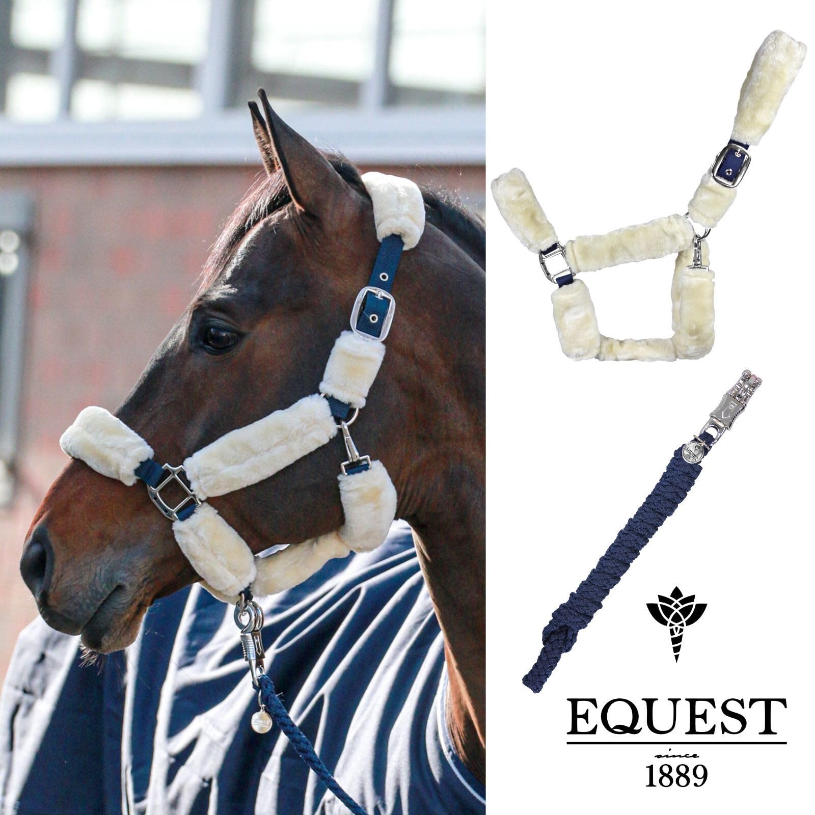 EQuest Halfter Comfort für Pferde mit Führstrick, Navy - S/Pony