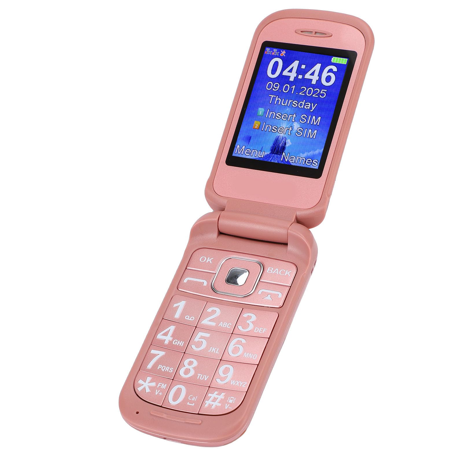 Diyeeni Telefono Cellulare per Anziani Sbloccato 2G, Doppia Scheda SIM con Pulsanti Grandi, Altoparlante, Tasto SOS, Schermo da 2,8 Pollici, per Anziani e Ipovedenti