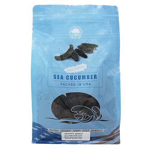 DOL - Pepino de mar de México capturado al sol de grado AAA, nutritivo natural de grado AAA, todo natural y nutritivo (XL 1 librabolsa)