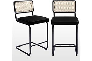 Zesthouse Mid Century Modern Counter Height Stools (Set of 2)