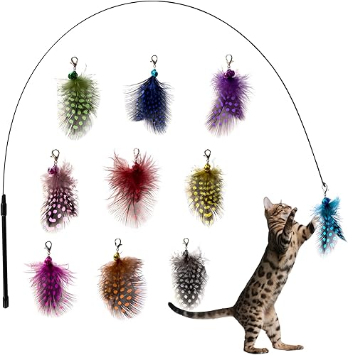 AcceLeah Juguetes de varita para gatos, juguete interactivo de plumas con 10 reemplazos, ideal para gatos y gatitos de interior