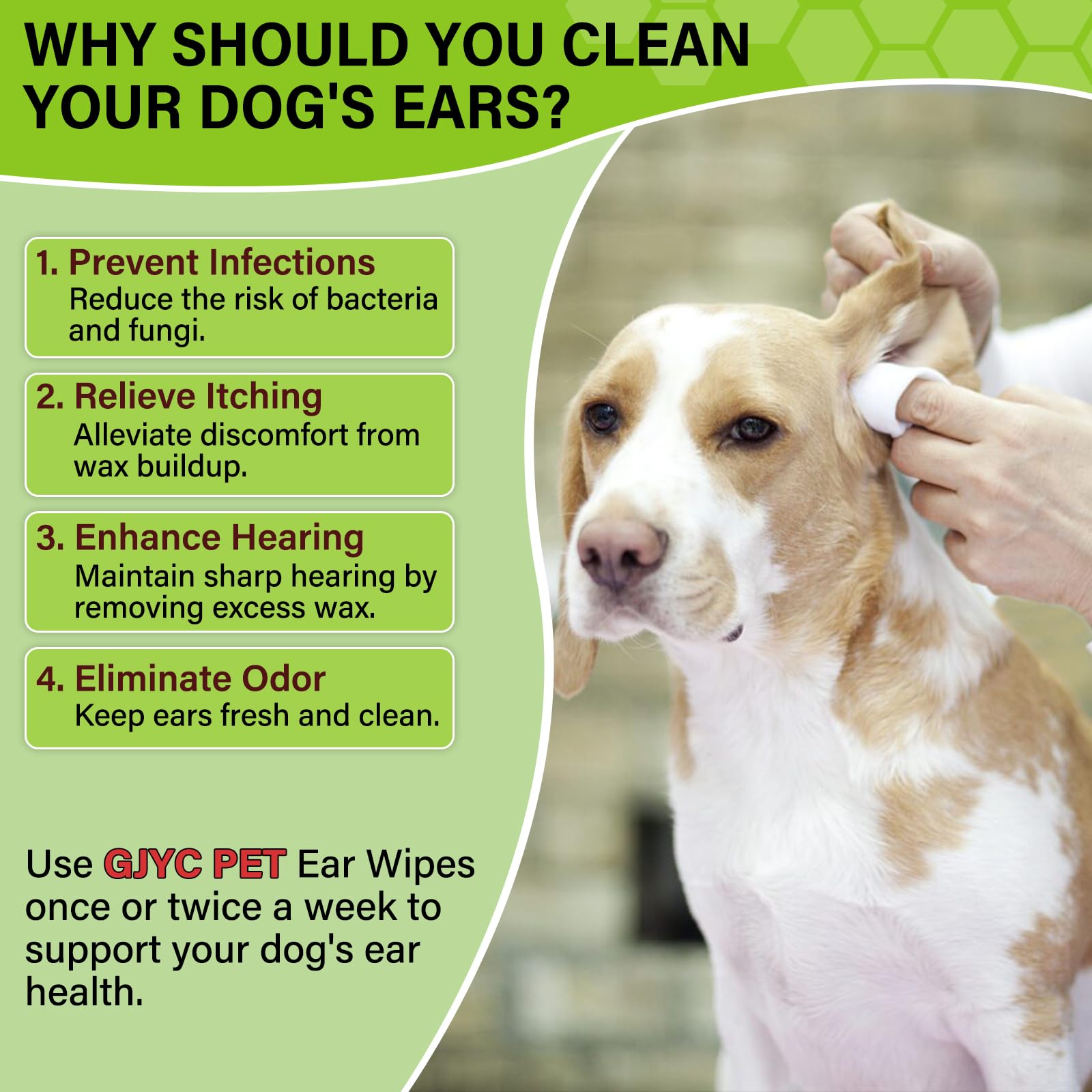 Pulizia orecchie cane, Salviette per le orecchie dei cani, per cani e gatti per il controllo degli odori, 100 salviette per le orecchie del cane, Rimuove l'odore e lo sporco dalle orecchie del cane