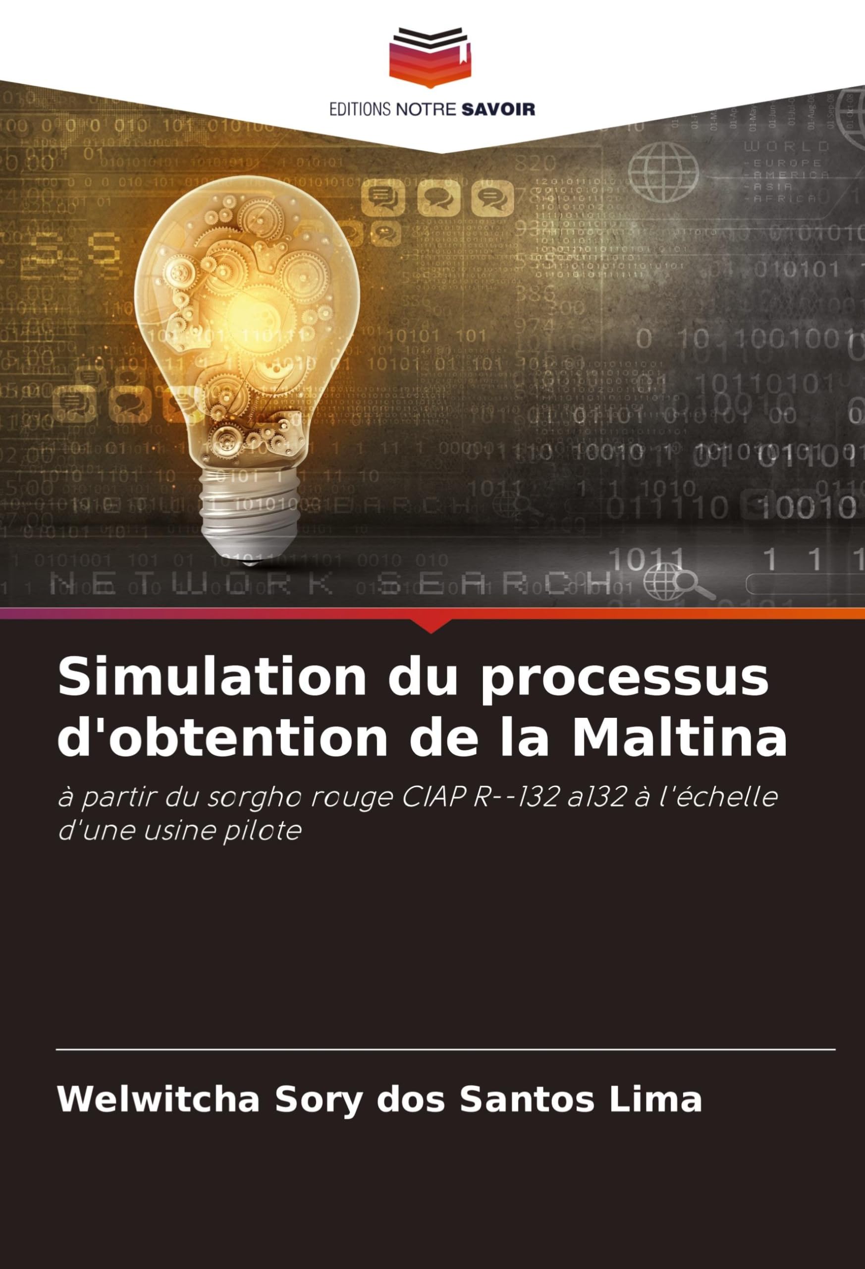 Simulation du processus d'obtention de la Maltina