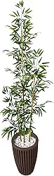 Bambu Mosso Artificial 2 Metros Grande Vaso Decorativo de Polietileno (Coluna Marrom G)