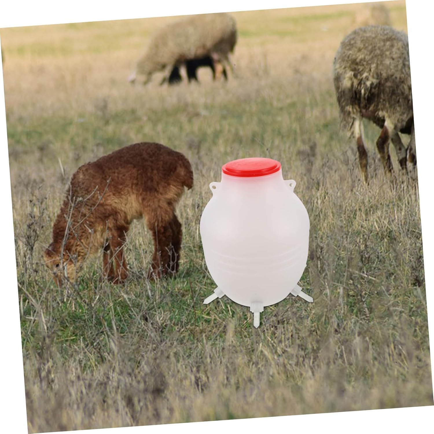Kisangel Animal Feeding Bottle Lambs Milk Feeder Goat Bottle Nipples for Farms and Zoos