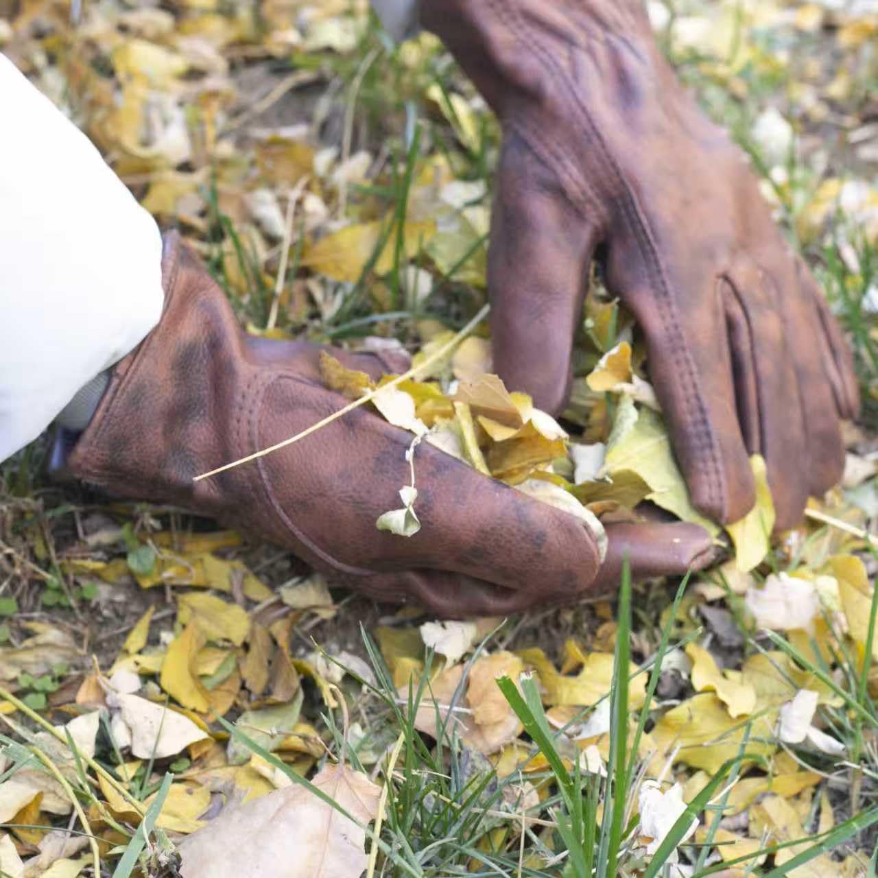 Guantes de trabajo de cuero para hombre, guantes de cuero vacuno auténtico, ideales para construcción, trabajo al aire libre (marrón, L)