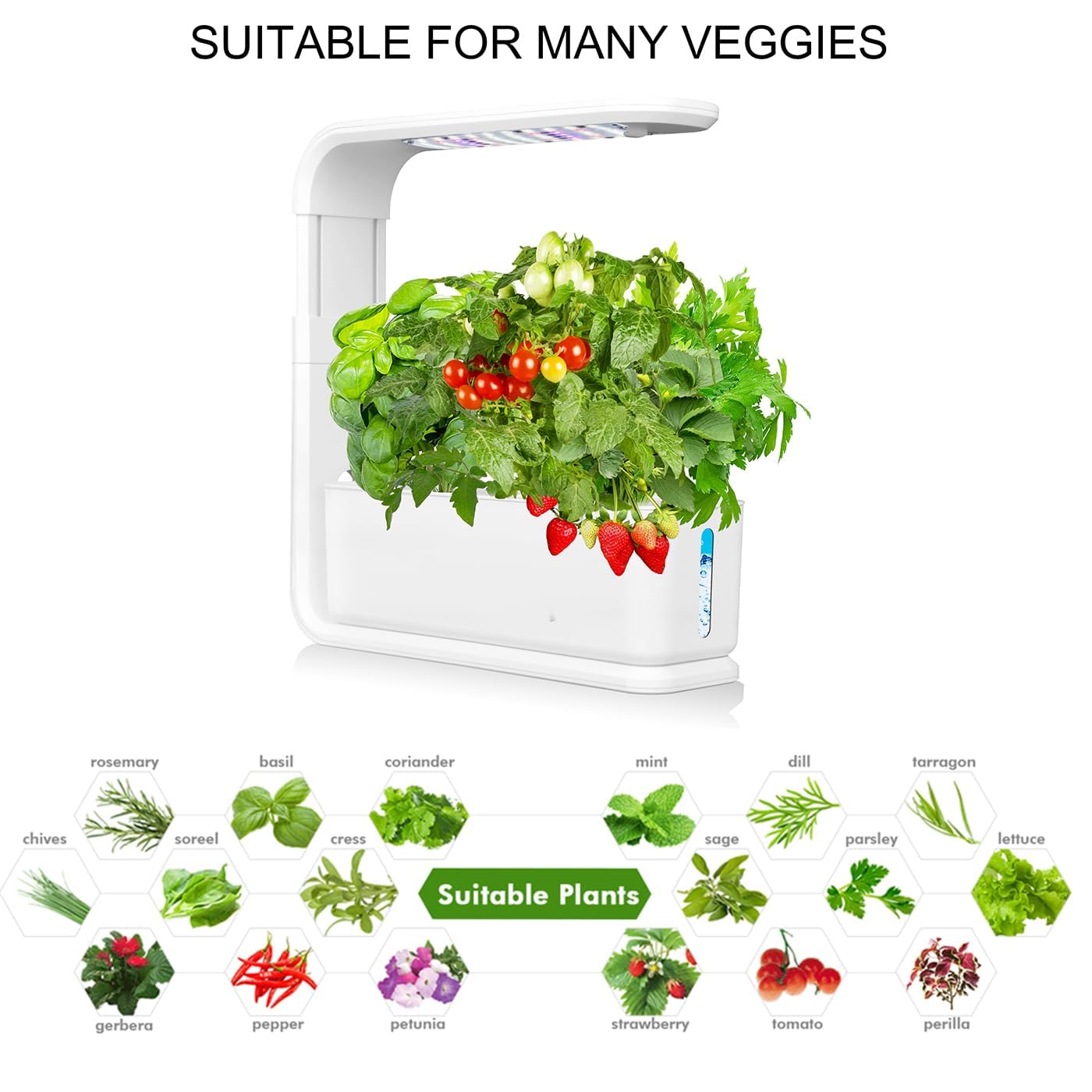 Kit de Cultivo Hidropónico, Jardín de Hierbas Interior con Temporizador de 10H, 3 Cápsulas de Plantas con Riego Automático Por Circulación, Tanque de 1,6L, Lámpara Led, Nivel de Agua Transparen black