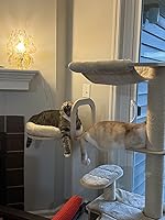 The best cat tree